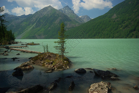 山中的河峡谷附近石头和岩河流附近的头和岩美丽的山地区河美丽地图片