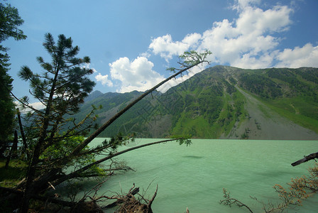 山中的河峡谷附近石头和岩河流附近的头和岩美丽的山地区河美丽地图片