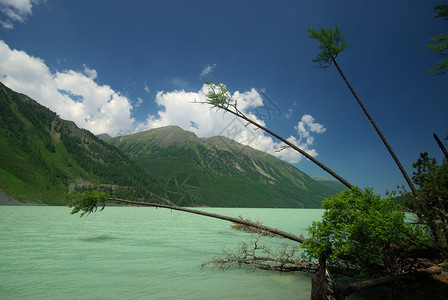 山中的河峡谷附近石头和岩河流附近的头和岩美丽的山地区河美丽地图片