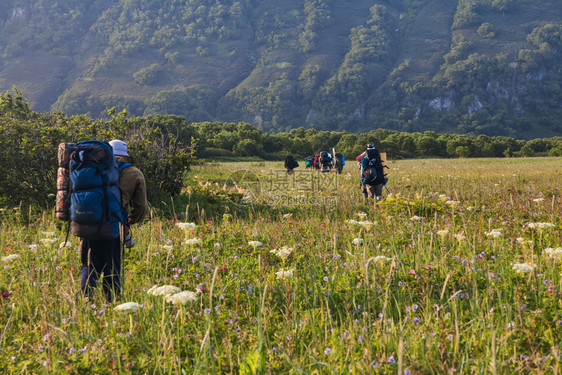 堪察卡的花岗岩森林和田野堪察卡的自然兰森林和田地堪察卡半岛的景观和光辉象图片