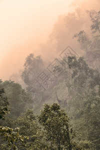 堪察卡的花岗岩森林和田野堪察卡的自然兰森林和田地堪察卡半岛的景观和光辉象图片