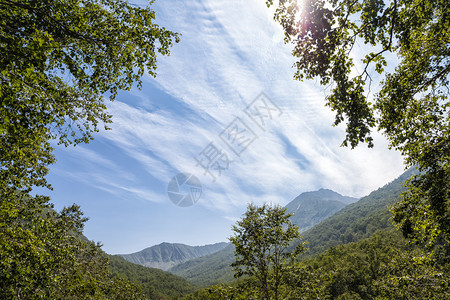 堪察卡的花岗岩森林和田野堪察卡的自然兰森林和田地堪察卡半岛的景观和光辉象图片