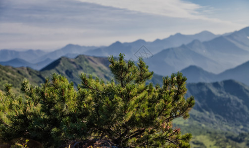 堪察卡的花岗岩森林和田野堪察卡的自然兰森林和田地堪察卡半岛的景观和光辉象图片