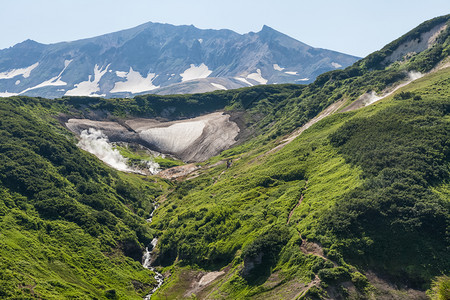 堪察卡的花岗岩森林和田野堪察卡的自然兰森林和田地堪察卡半岛的景观和光辉象图片