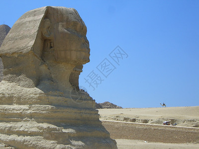 一张来自埃及旅行的照片图片
