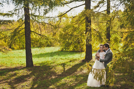 新婚夫妇在桑尼森林的秋天照片图片