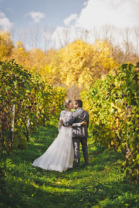 丈夫和妻子穿着喜庆服走过葡萄园的各排新婚夫妇离开53个葡萄园的修甲排图片