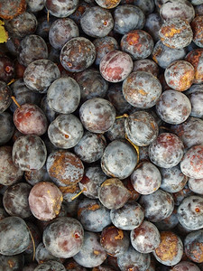 普鲁恩斯谷类水果健康素食品详细信息作为背景有用图片