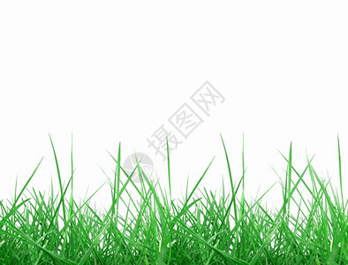 白底绿草带复制空间图片