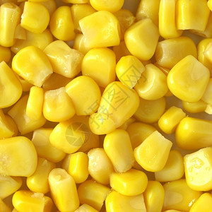 黄玉米或食菜背景图片