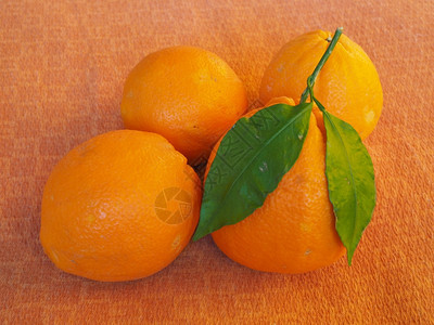 橙子水果素食品背景图片