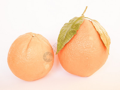 橙子水果素食品简单背景图片