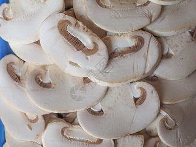 香菇背景双孢蘑菇又名香菇是一种有用的背景食品图片