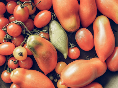 意大利番茄蔬菜健康素食品背景图片