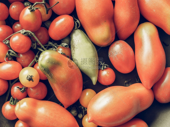 意大利番茄蔬菜健康素食品图片