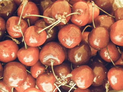 樱桃背景古董不饱和葡萄树不饱和红樱桃果实作为回味有用图片