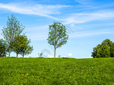 PrimroseHill伦敦人类发展报告英国伦敦PrimroseHill公园图片