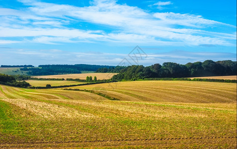 Salisbury的英语全景英Salisbury周围的英语全景Salisbury周围的英语全景图片