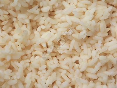 卡纳罗利米饭卡纳罗利大米意大利北部帕维亚诺瓦拉和维切利省种植的中粒大米用来做意大利烩饭图片