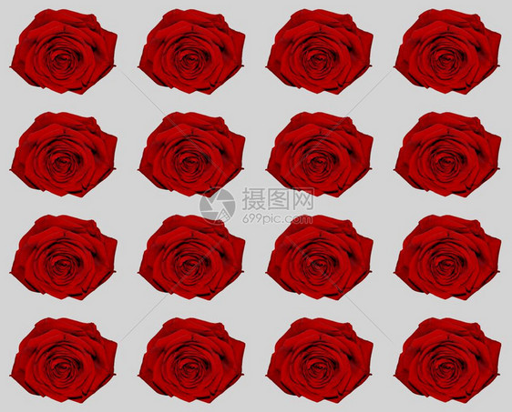 红玫瑰盖着灰色的图案红玫瑰图案在灰色上可用作背景图片