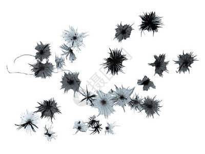 银莓晶体显微镜银莓晶的浅光摄影图图片