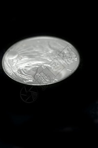 美国银鹰圆硬币图片