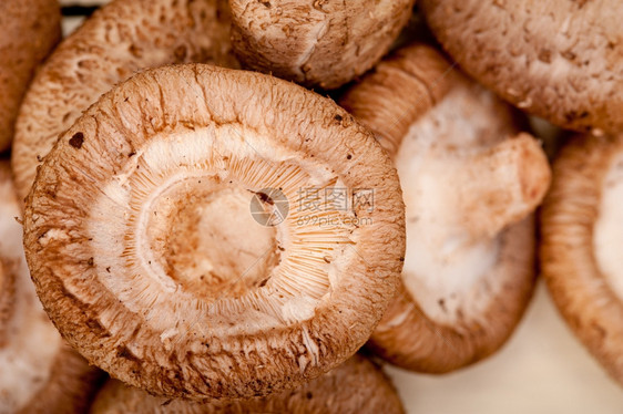 生木板桌上的蘑菇图片