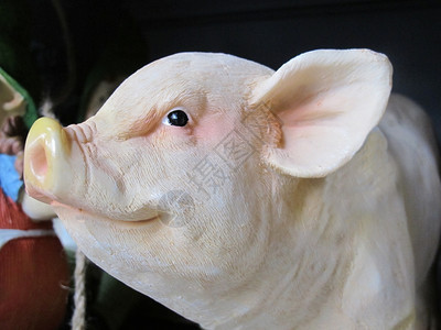 猪的雕塑图片