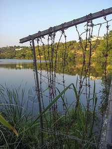 防止进入湖面的带刺铁丝网图片