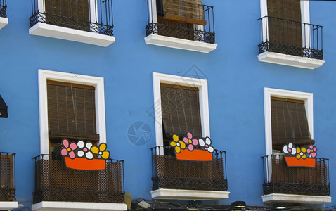 蓝白色房子的阳台上的花朵图片