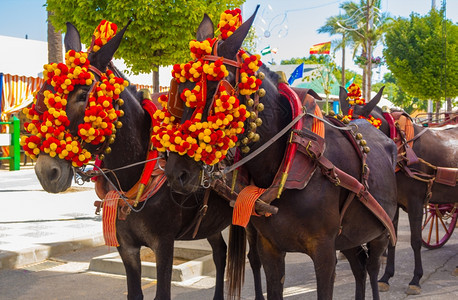 美丽的马与五颜六色的装饰品参加著名的安达卢西亚马展安杜贾尔西班牙图片