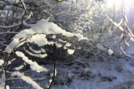 蓝色天空和白云的雪地图片