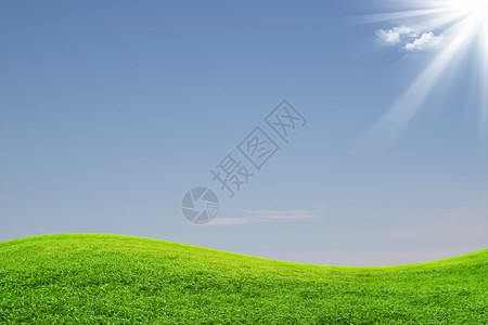 绿地和蓝天空的景观图片