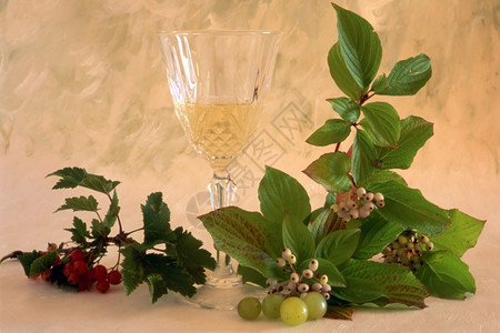 白葡萄酒彩漆背景的水果图片