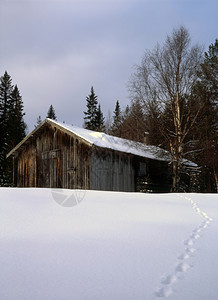 雪地的旧农舍图片