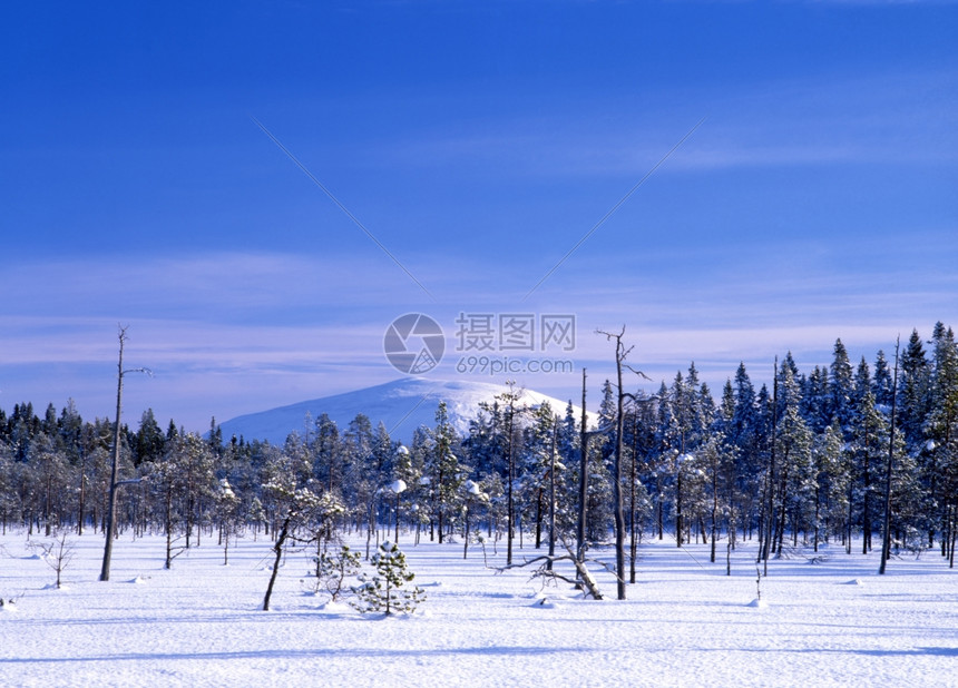 美丽的冬季森林景观蓝天空图片