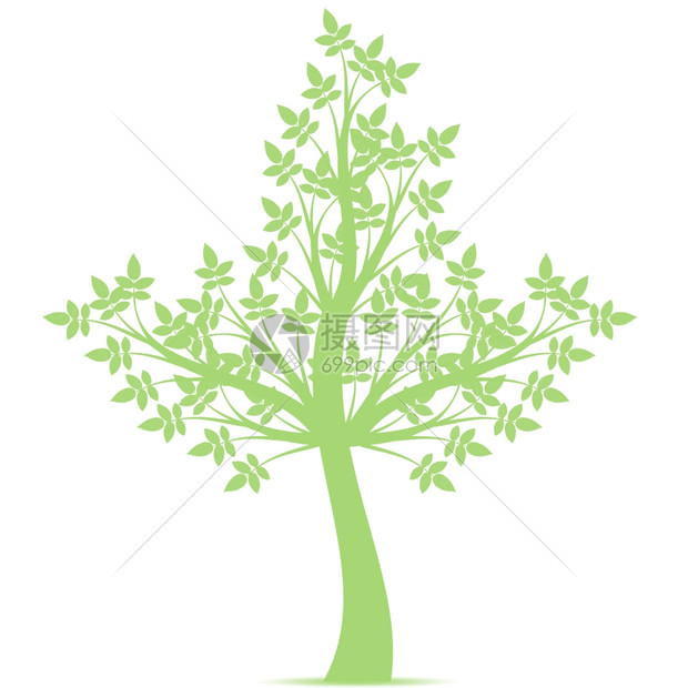 白色背景的美艺术树