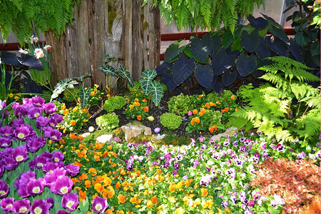 一个美丽的室内花园和卉展在春初加拿大汉密尔顿安略的植物园背景图片
