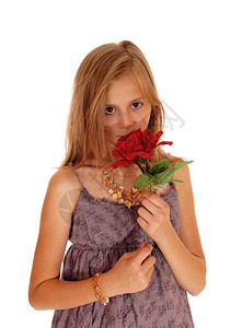 一个漂亮的年轻女孩穿着勃朗古迪的裙子举着红玫瑰微笑孤立的白种背景图片