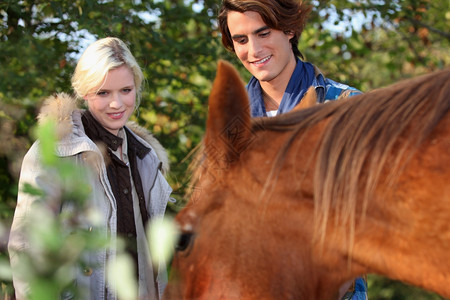 情侣站在美丽的马匹旁图片