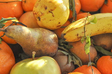 水果食品许多不同水果包括梨橙香蕉苹果图片