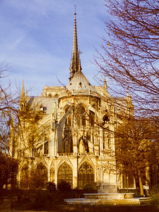 巴黎女神教堂女神教堂背景图片