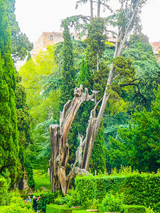 VillaEste花园高动态HDR古罗马花园意大利罗马附近蒂沃的VillaDEste图片