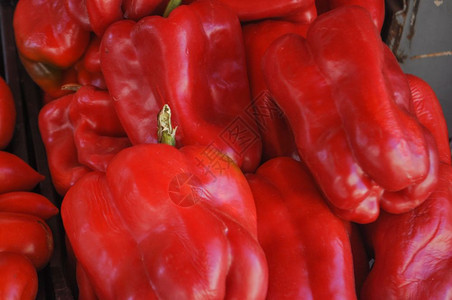 红辣椒Capsicumakabell辣椒素食蔬菜和品图片