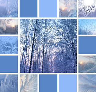 玻璃和冬季树上的冰状图片
