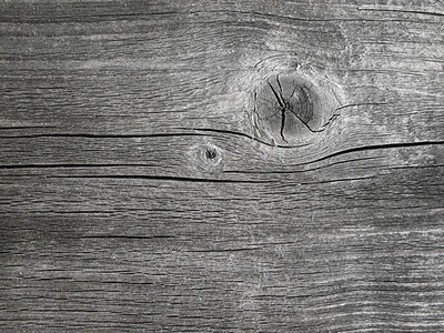风化木材的纹质图片