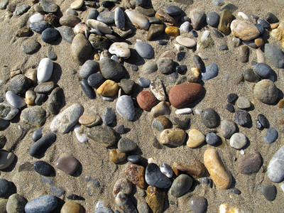 湿沙底带海石块的湿沙底图片