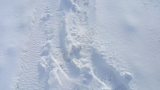 雪底的足迹图片