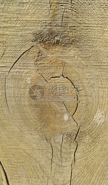 带有环和裂缝型状的古老风化木质纹理