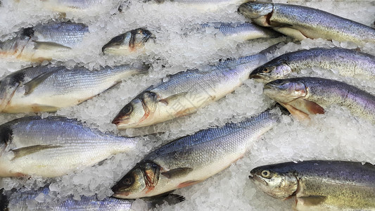 关闭冰上新鲜冷冻鱼供市场销售图片